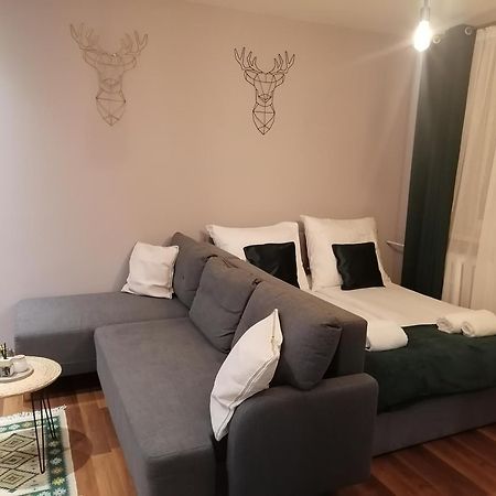 Apartament Gagarina 31 Zabrze Eksteriør billede